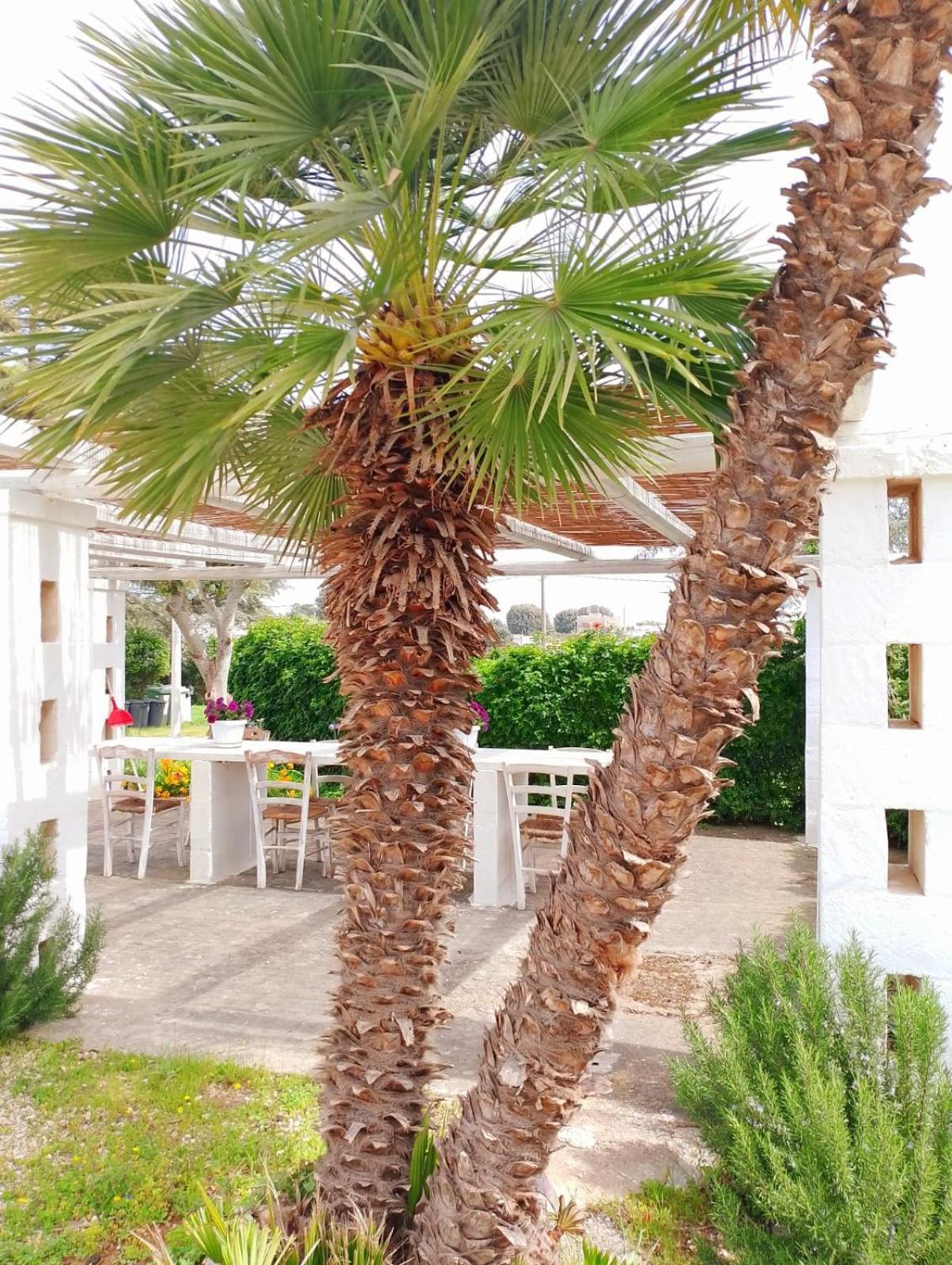 La Dimora Di Nonna Giuliana Hotel Ostuni Exterior photo